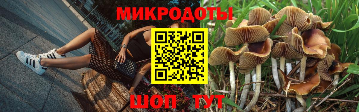 Всеволожск  Псилоцибиновые грибы Psilocybine cubensis  Вход с VPN 